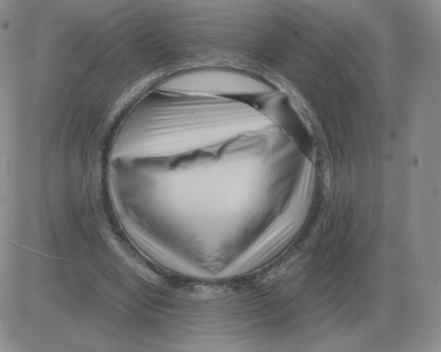 X0000082750442200702240042