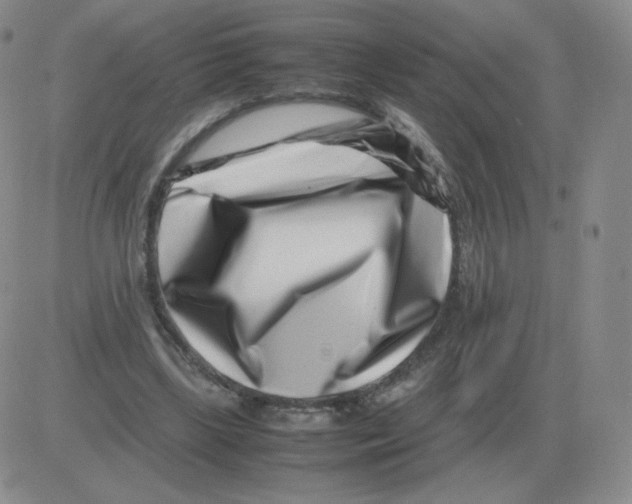 X0000082750443200702240043