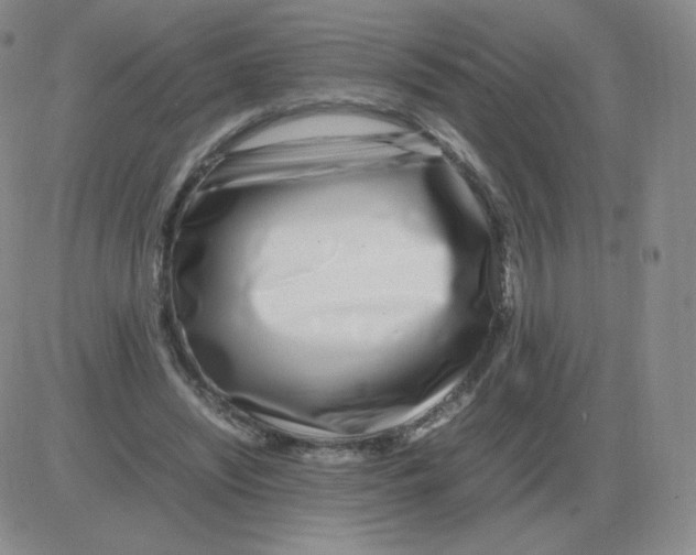 X0000082750444200702240043