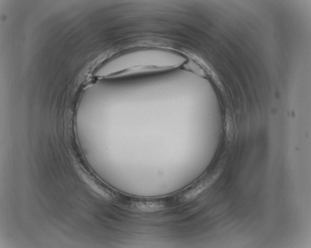 X0000082750445200702240043