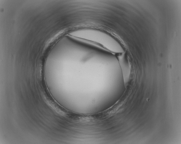 X0000082750446200702240043