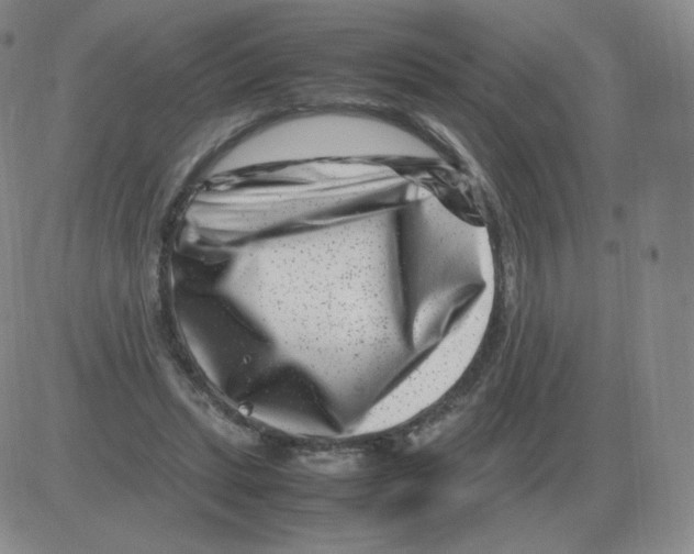 X0000082750447200702240043