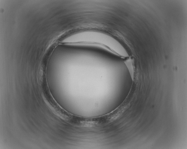 X0000082750448200702240043