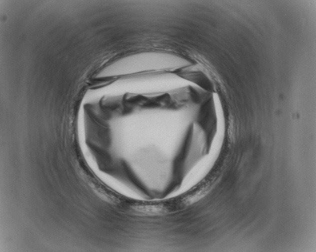 X0000082750449200702240043