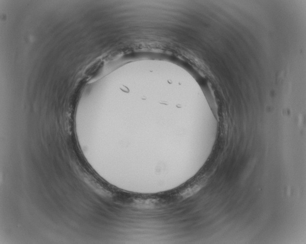 X0000082750450200702240043