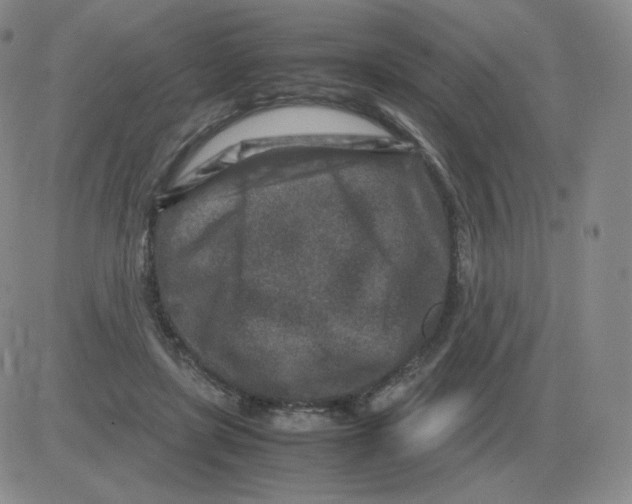 X0000082750451200702240043