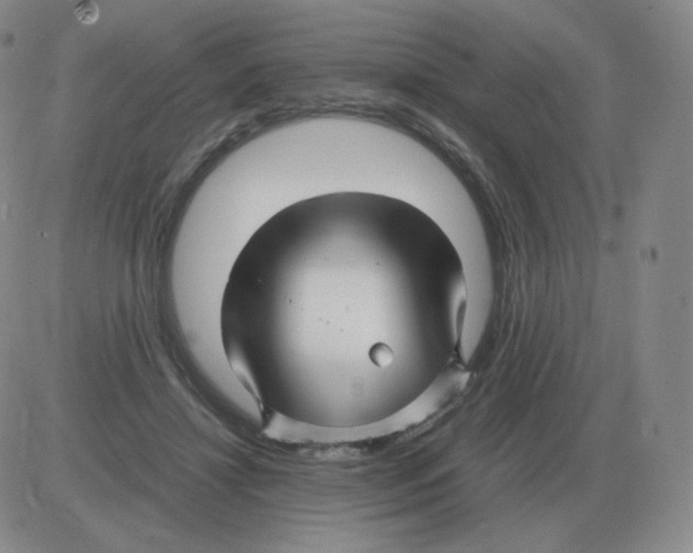 X0000082750452200702240043