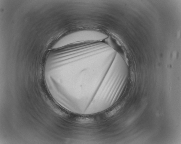 X0000082750453200702240043