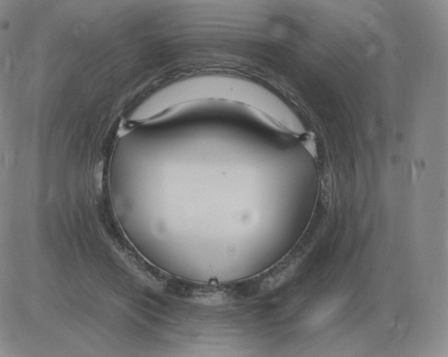 X0000082750454200702240043