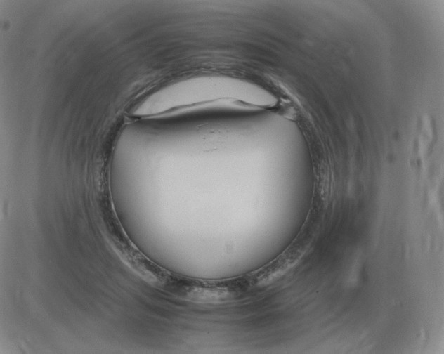 X0000082750455200702240043