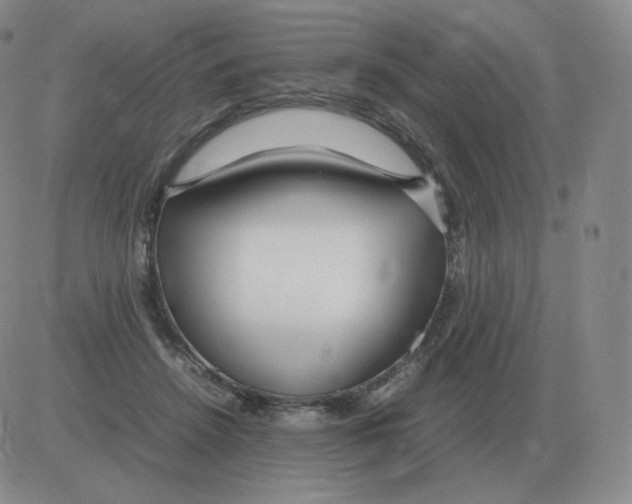 X0000082750456200702240043