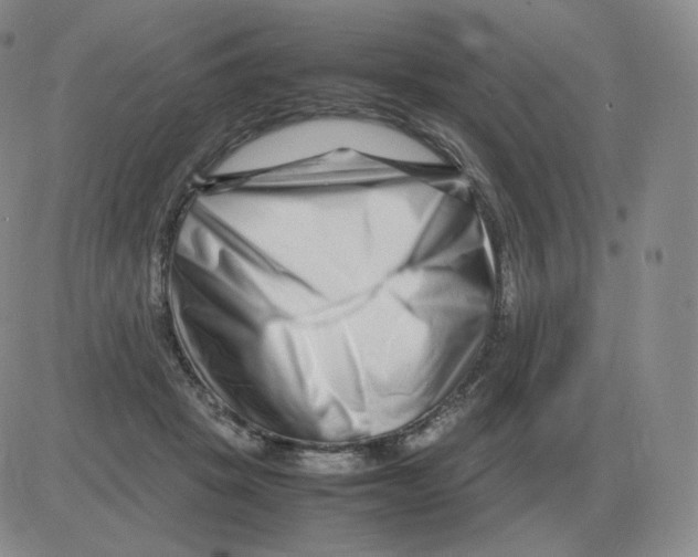 X0000082750457200702240043