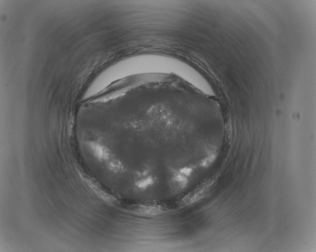 X0000082750458200702240043