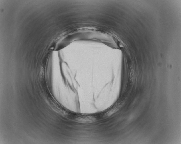 X0000082750459200702240043