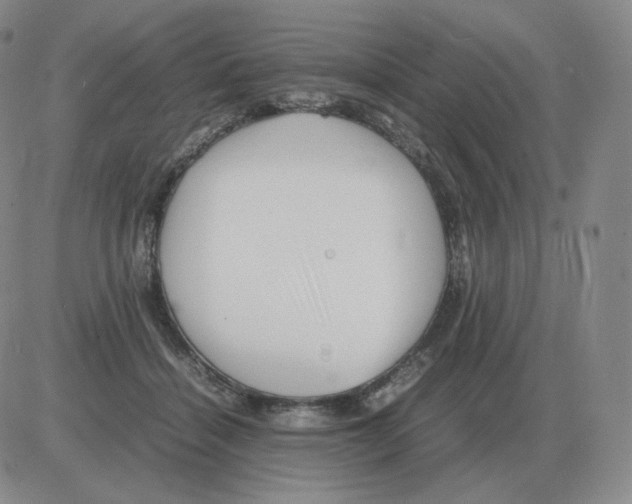 X0000082750460200702240043