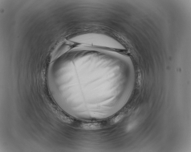 X0000082750461200702240043