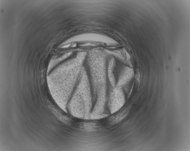 X0000082750462200702240043