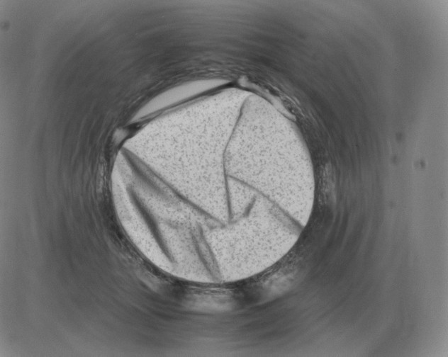 X0000082750463200702240043