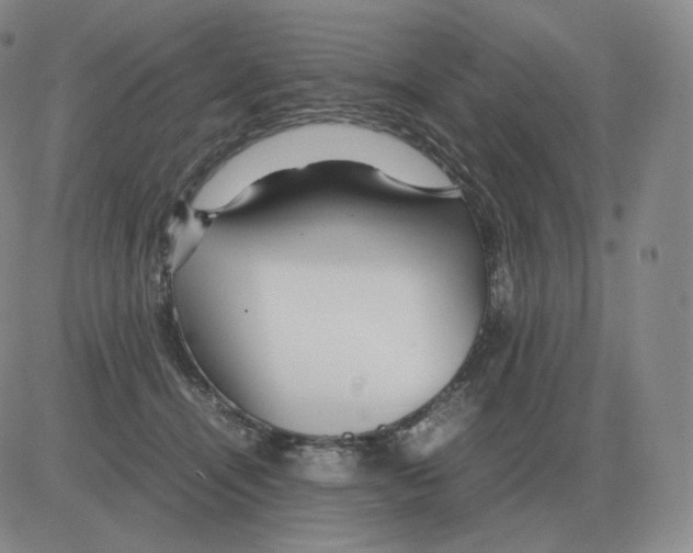 X0000082750464200702240043