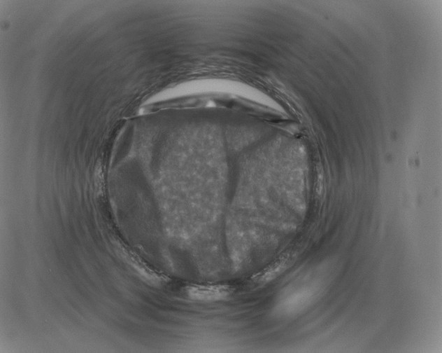 X0000082750465200702240043