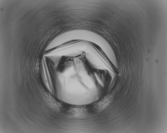 X0000082750466200702240043