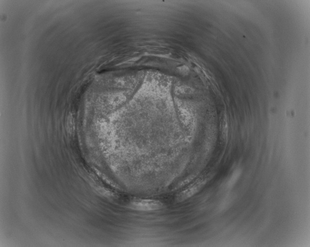 X0000082750467200702240043