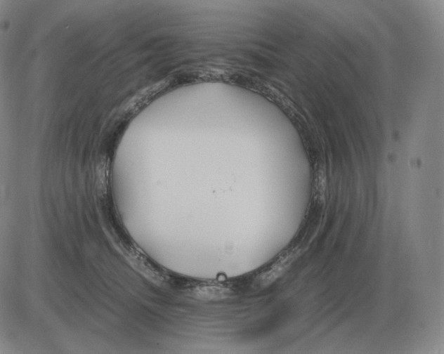 X0000082750468200702240043