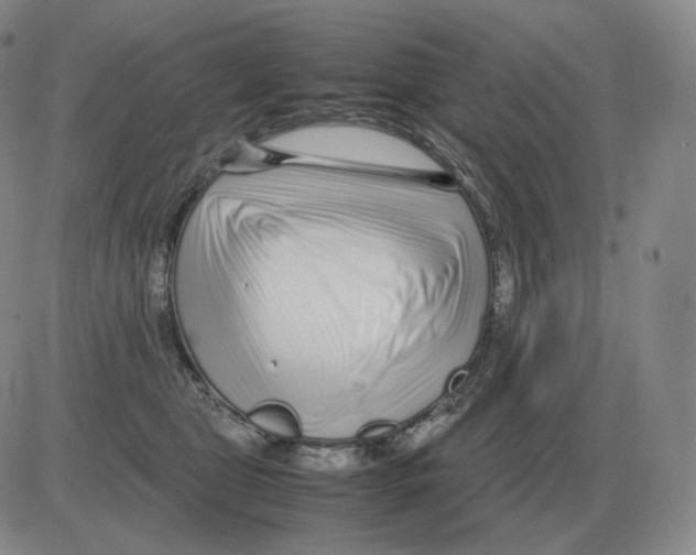 X0000082750469200702240043