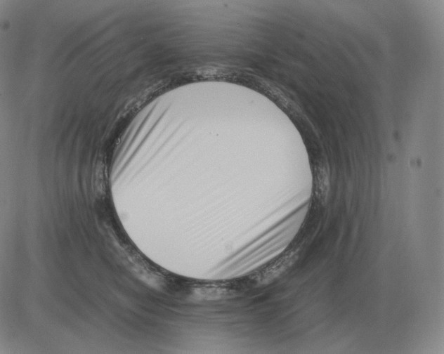 X0000082750470200702240043