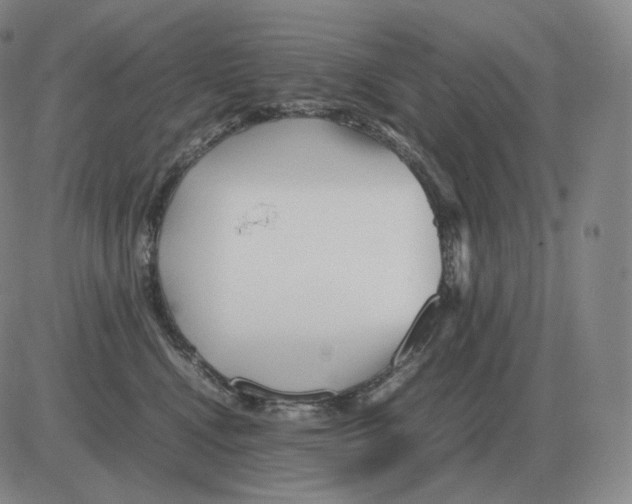 X0000082750472200702240043