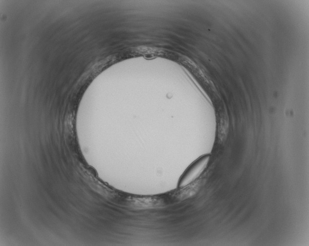 X0000082750473200702240043