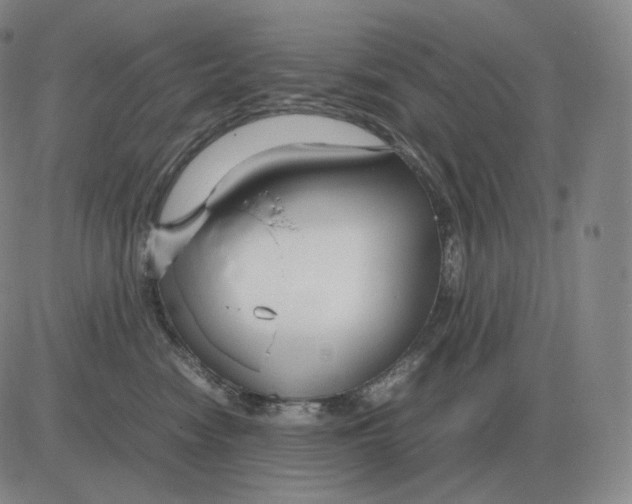 X0000082750474200702240043