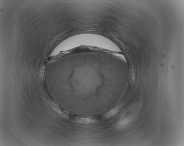 X0000082750475200702240043