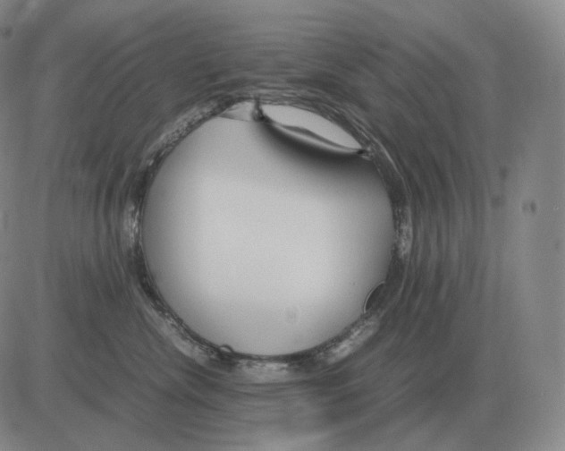 X0000082750476200702240043