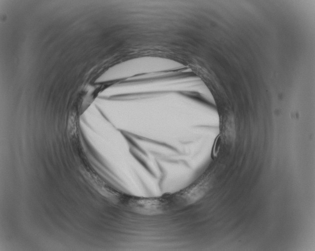 X0000082750478200702240043