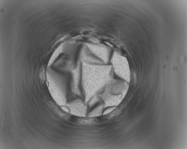 X0000082750479200702240043