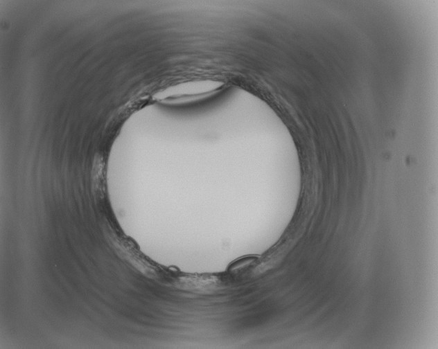 X0000082750480200702240043