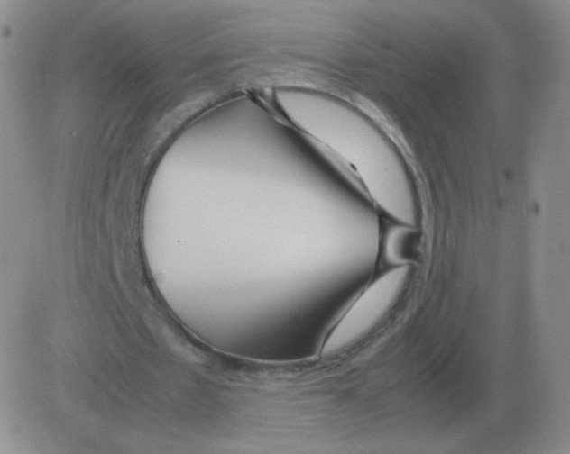 X0000082750481200702240042