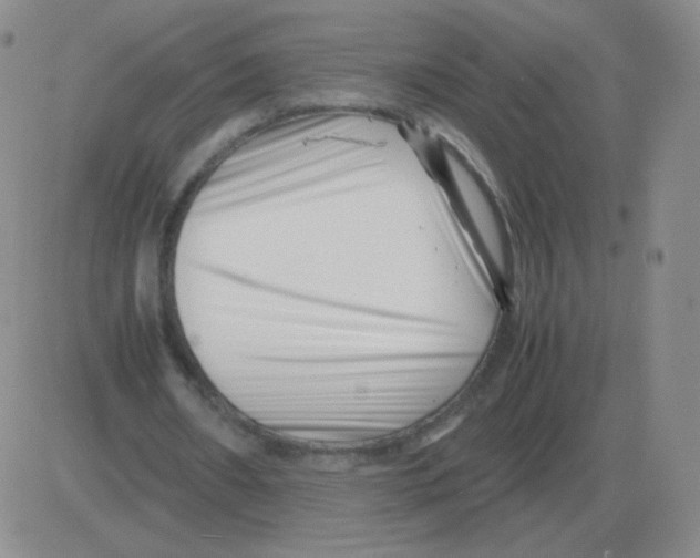 X0000082750482200702240042