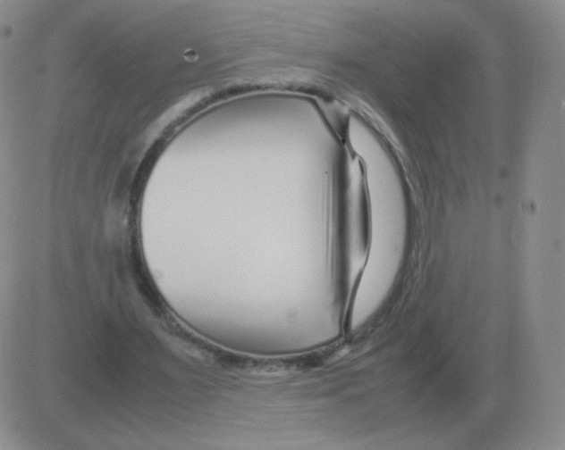 X0000082750483200702240042