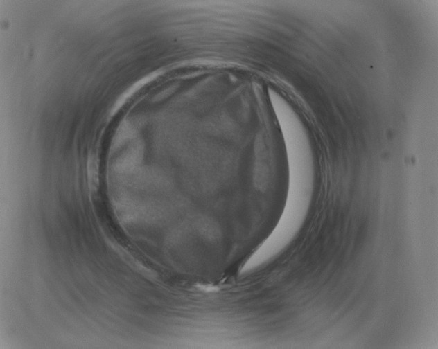 X0000082750484200702240042