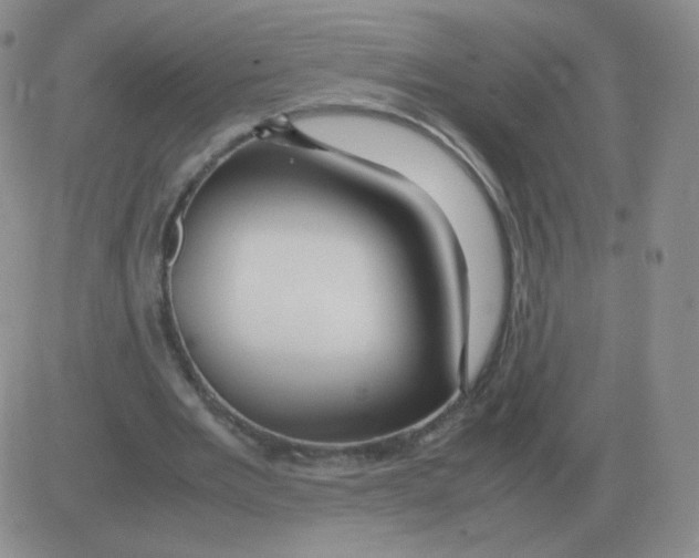 X0000082750485200702240042