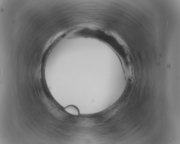 X0000082750486200702240042