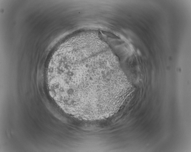 X0000082750487200702240042