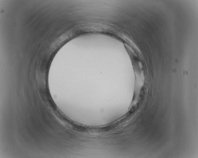 X0000082750489200702240042