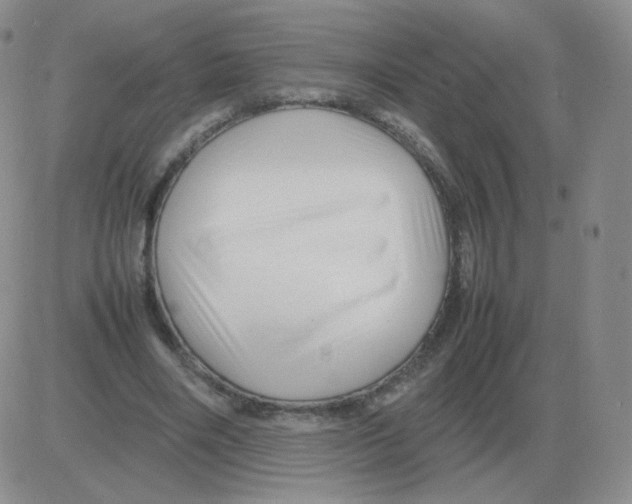 X0000082750490200702240042