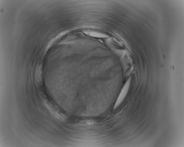 X0000082750492200702240042