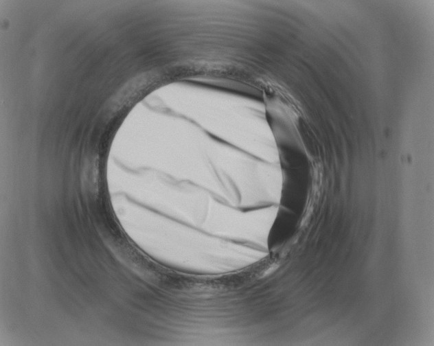 X0000082750494200702240042