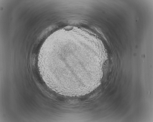 X0000082750495200702240042