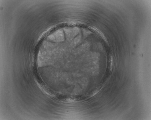 X0000082750496200702240042